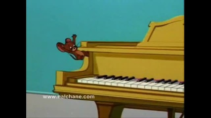 Tom And Jerry Tancuyushiy Medved 