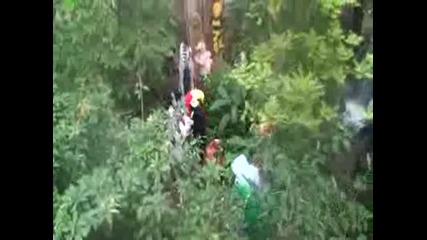 Tarzan (remi Gaillard)