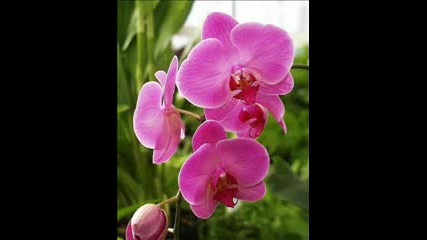 Beautiful Piano Song !!! 