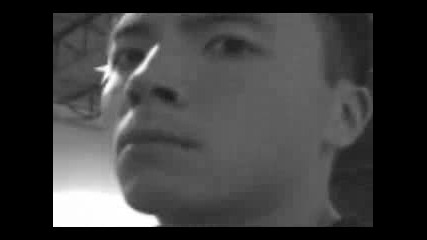 Pronobozo - Full Flex