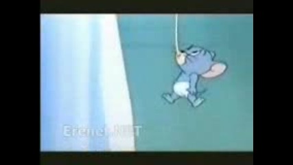 Tom And Jerry