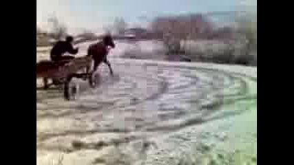 "ferrari"