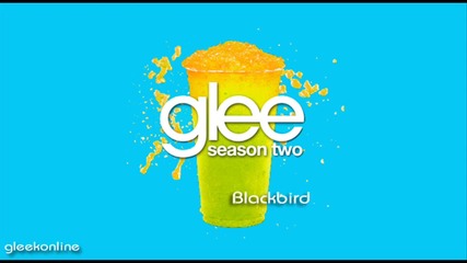 Glee 2x16 - Blackbird 