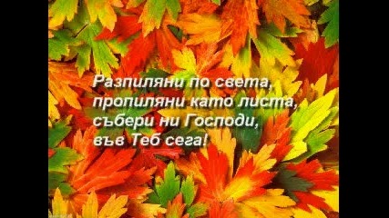 Разпиляни по света
