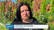 Липсата на работници остави несъбрана реколта