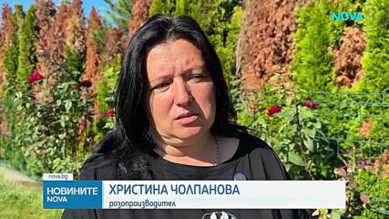 Липсата на работници остави несъбрана реколта