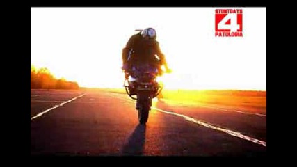 Stunt Days 4 Trailer - Patologia