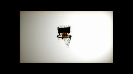 Mago Production - Flying squirrels - teaser