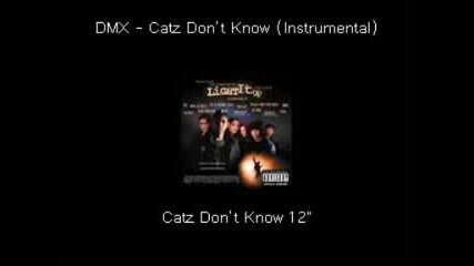 Dmx - Catz Dont Know (instrumental)