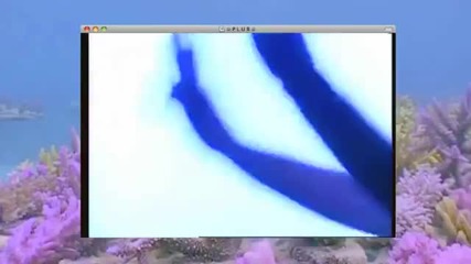 Unicorn Kid - Boys Of Paradise (official Video)