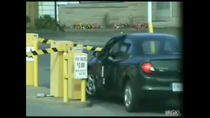 Every Girl Must See (a funny video)