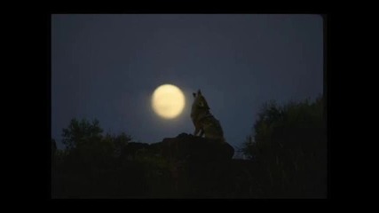 Любэ - Луна 