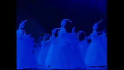 The Acrobaticswan Lake