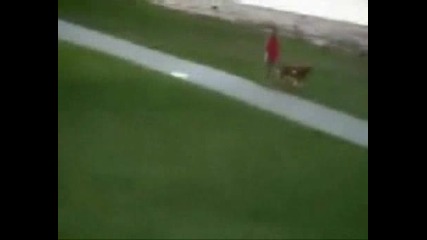 Деца Целят Хора с Балони Пълни с Вода