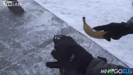 Така се кове с банан в Сибир