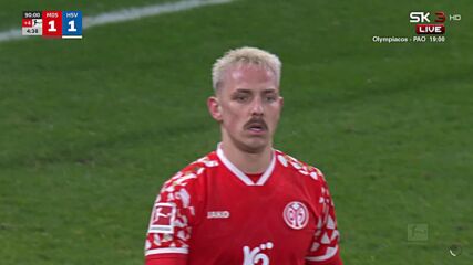 1. FSV Mainz 05 vs. Hamburger SV - Game Highlights