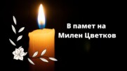 В памет на Милен Цветков: Откриха чешма в близост до мястото, на което загуби живота си