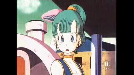 Dragon Ball 009