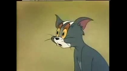 Tom and jerry - sleepy tom