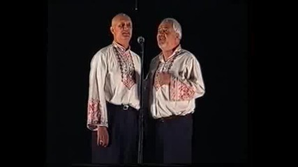 Братя Митеви - с.Владая