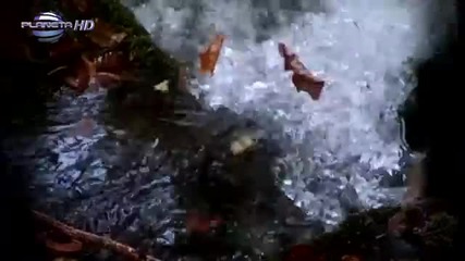 Звездно - Джена и Сиана 07.10.2013