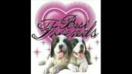Best Fr Forever