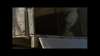 Сапьори ( Sapery 2007 ) - Целия филм