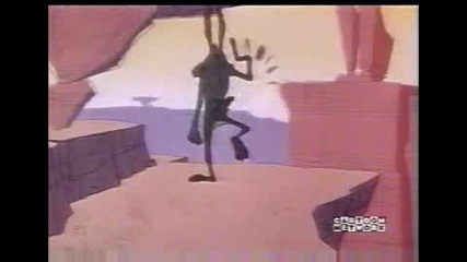 Road Runner серия:13