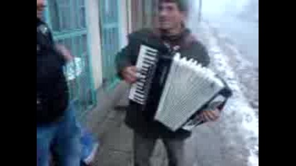 jambolski akordionist