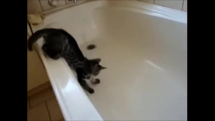 Смях! Малко коте пада във ваната и ни може да иэлеэе! :d
