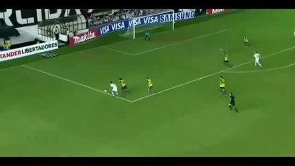 Neymar Skills & Tricks 2011 Hd
