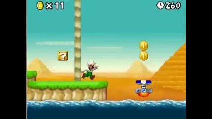 Nsmb~2 - A level