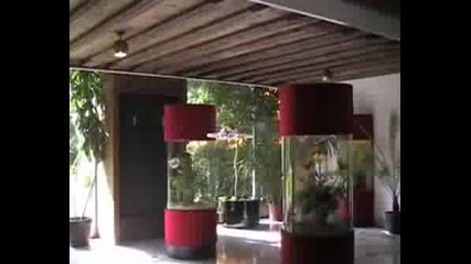 Rc X - Ufo In Action