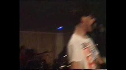 Electro Hippies - Sheeps (live)