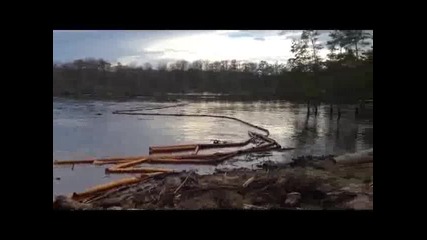 Луизианско езеро поглъща дървета за секунди
