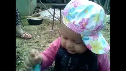 sali bend 2010