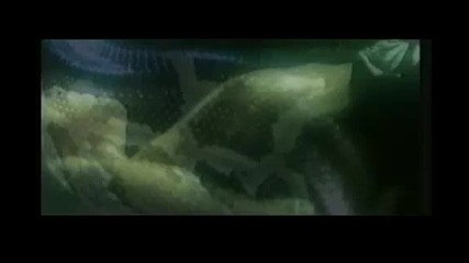 moonspell - second skin 