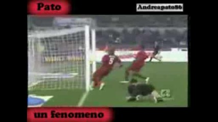 Pato un fenomeno