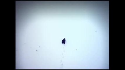 Metallica - King Nothing 