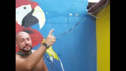 Панамската Фауна Атакува Екипа На Survivor
