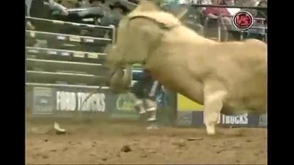 Chris Shivers Vs Charlie Bullware 