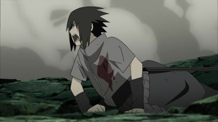 Naruto Shippuden 393 [1080p]