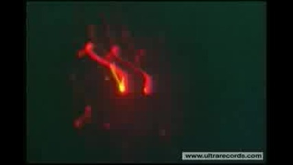 Tiesto - Elements Of Life (official Video)
