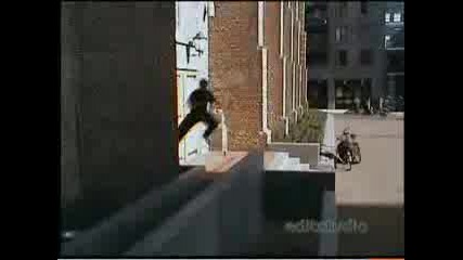 Free Run Fearless