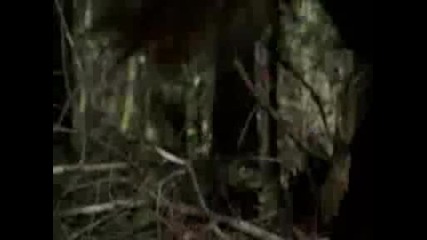Wrong Turn - Dead End
