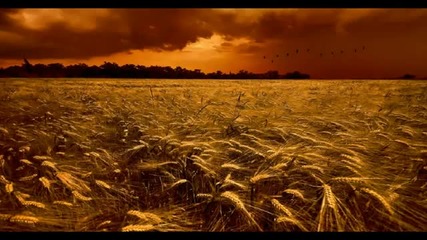 The Bountyhunter & Repton - Crop (guido Sava Mix)