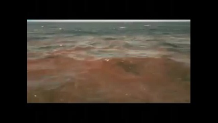 Най - Големия Кит В Океана 