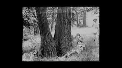 Love Is The New Feel Awful - The Dandy Warhols - Gothman 