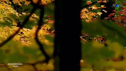 Amazing Violin Music