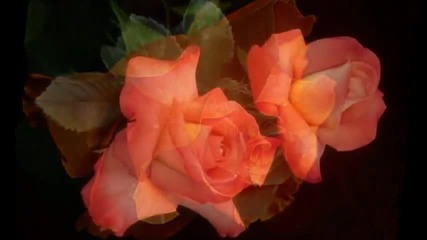Waltz pentru romanticii nostri